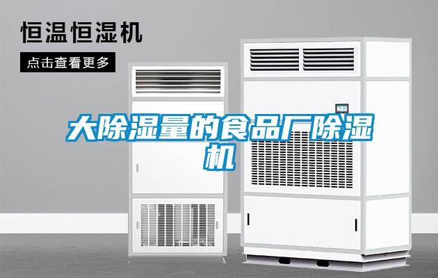 大除湿量的食品厂除湿机