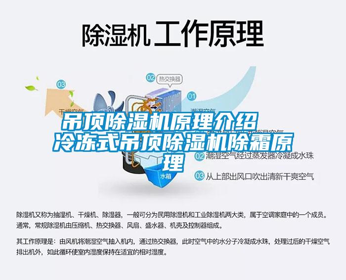 吊顶除湿机原理介绍  冷冻式吊顶除湿机除霜原理
