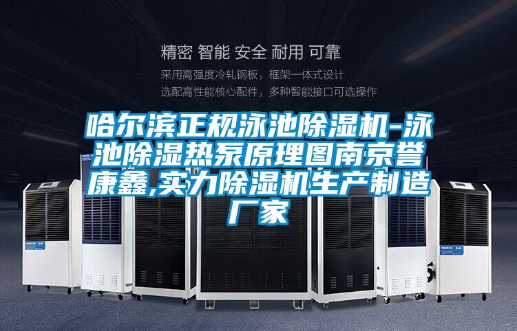 哈尔滨正规泳池除湿机-泳池除湿热泵原理图南京誉康鑫,实力除湿机生产制造厂家