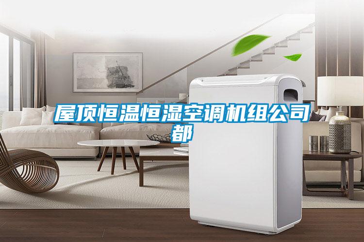 屋顶恒温恒湿空调机组公司都