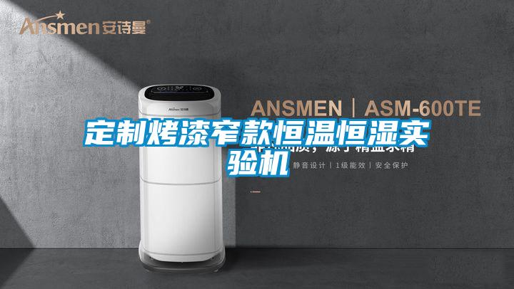 定制烤漆窄款恒温恒湿实验机