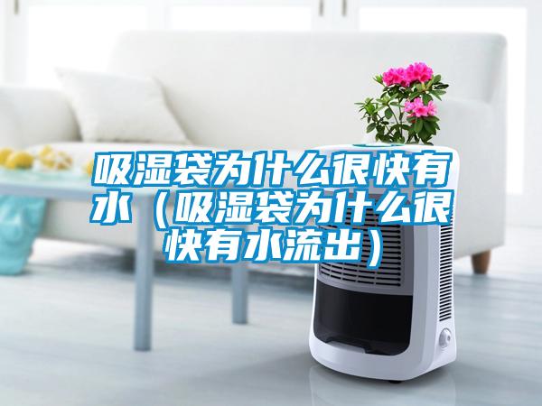 吸湿袋为什么很快有水（吸湿袋为什么很快有水流出）