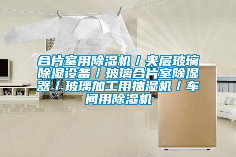 合片室用除湿机／夹层玻璃除湿设备／玻璃合片室除湿器／玻璃加工用抽湿机／车间用除湿机