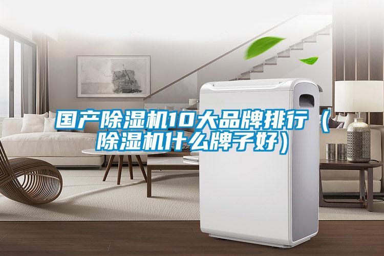 国产除湿机10大品牌排行（除湿机什么牌子好）