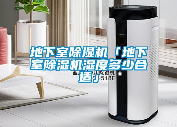 地下室除湿机「地下室除湿机湿度多少合适」