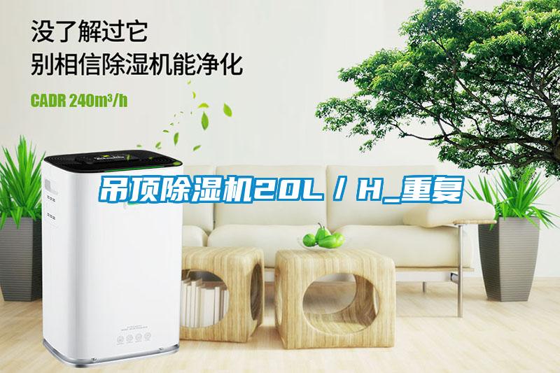 吊顶除湿机20L／H_重复