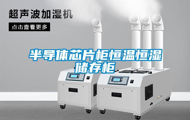 半导体芯片柜恒温恒湿储存柜