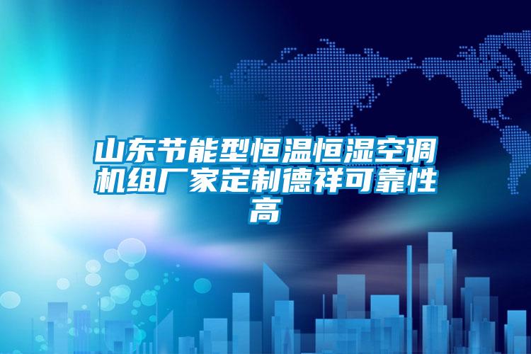 山东节能型恒温恒湿空调机组厂家定制德祥可靠性高