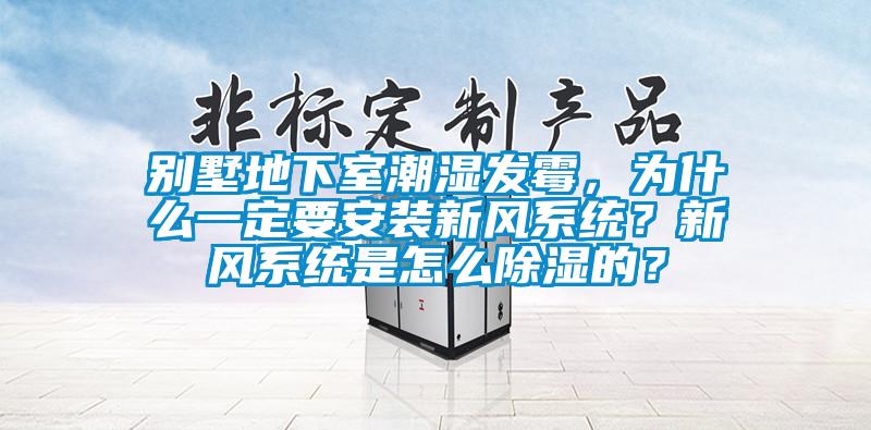 别墅地下室潮湿发霉，为什么一定要安装新风系统？新风系统是怎么除湿的？