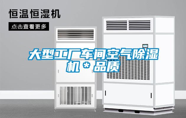 大型工厂车间空气除湿机＊品质