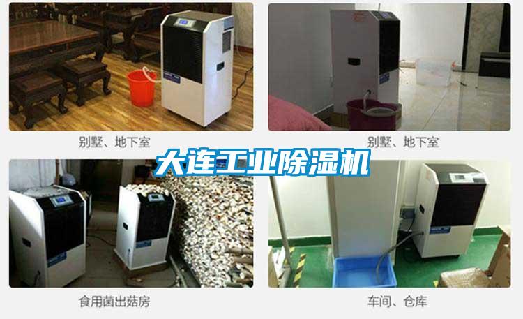 大连工业除湿机