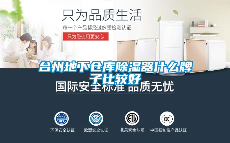 台州地下仓库除湿器什么牌子比较好
