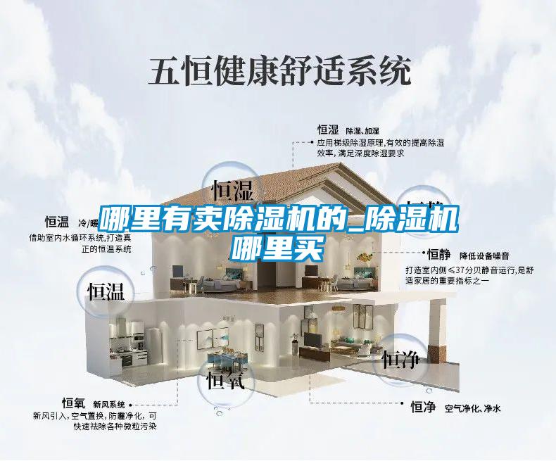哪里有卖除湿机的_除湿机哪里买