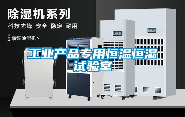 工业产品专用恒温恒湿试验室