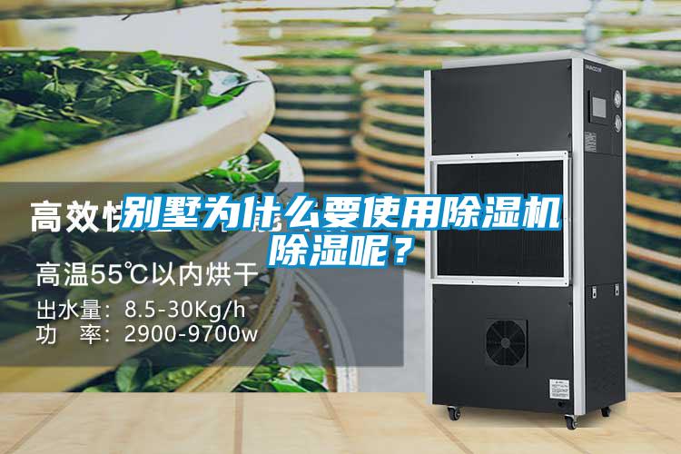 别墅为什么要使用除湿机除湿呢？