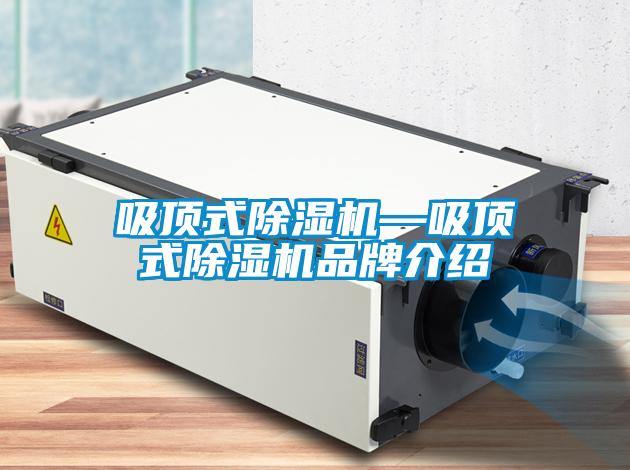 吸顶式除湿机—吸顶式除湿机品牌介绍
