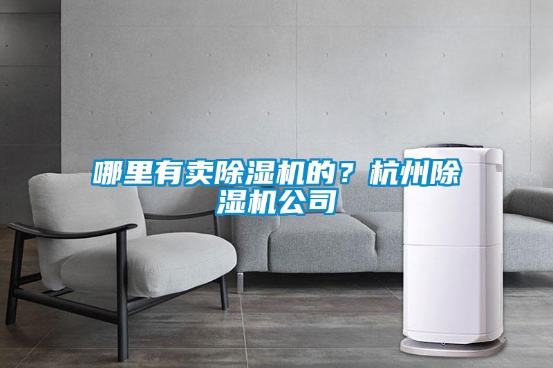 哪里有卖除湿机的？杭州除湿机公司