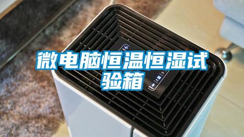 微电脑恒温恒湿试验箱