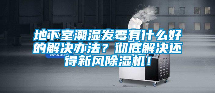 地下室潮湿发霉有什么好的解决办法？彻底解决还得新风除湿机！