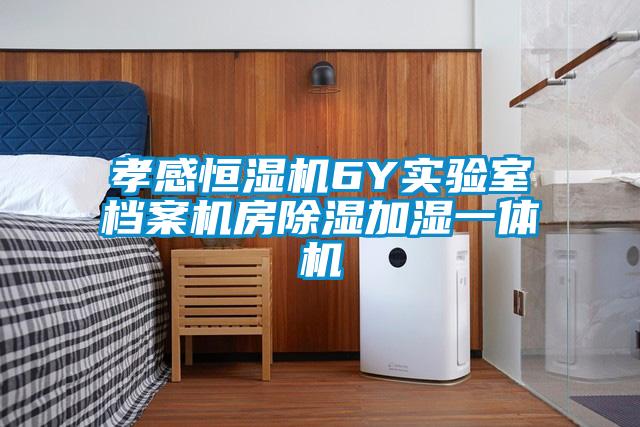 孝感恒湿机6Y实验室档案机房除湿加湿一体机
