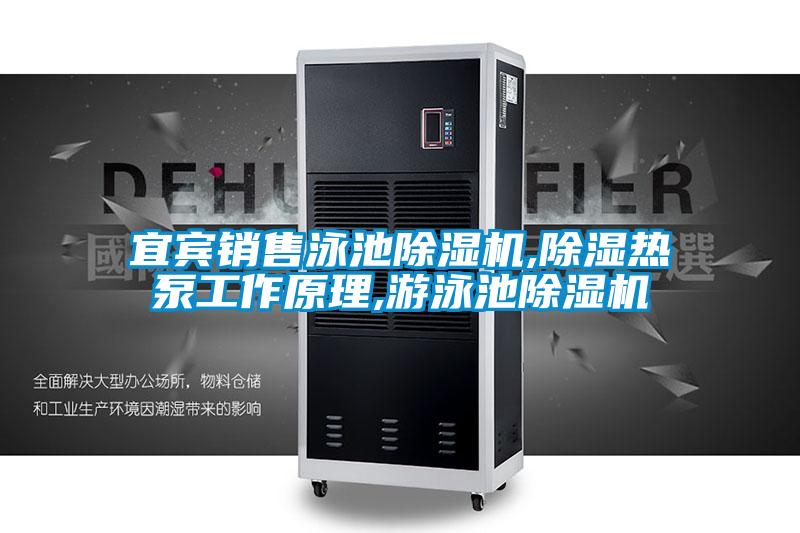 宜宾销售泳池除湿机,除湿热泵工作原理,游泳池除湿机