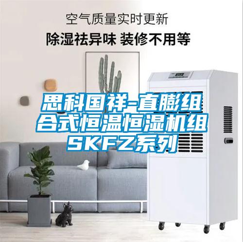 思科国祥-直膨组合式恒温恒湿机组SKFZ系列