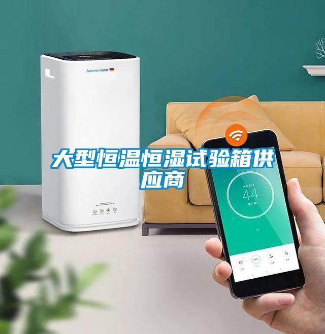 大型恒温恒湿试验箱供应商