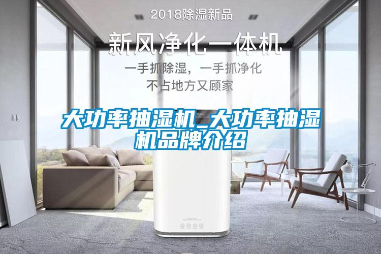 大功率抽湿机_大功率抽湿机品牌介绍