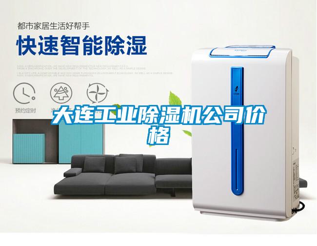 大连工业除湿机公司价格
