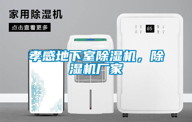 孝感地下室除湿机，除湿机厂家