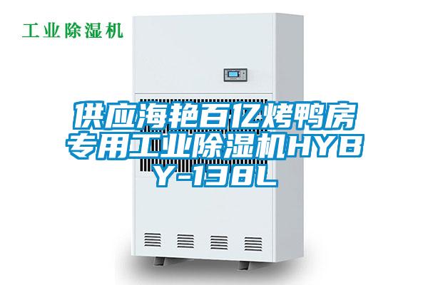 供应海艳百亿烤鸭房专用工业除湿机HYBY-138L