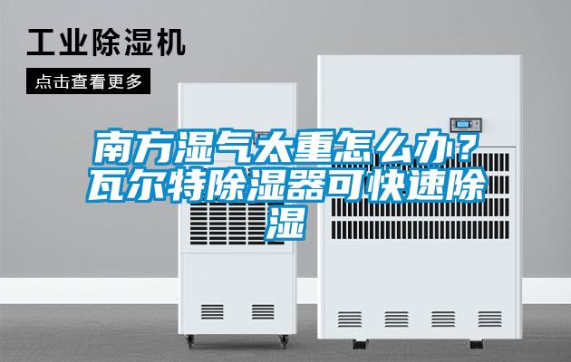 南方湿气太重怎么办？瓦尔特除湿器可快速除湿