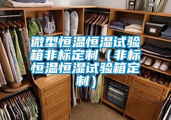 微型恒温恒湿试验箱非标定制（非标恒温恒湿试验箱定制）