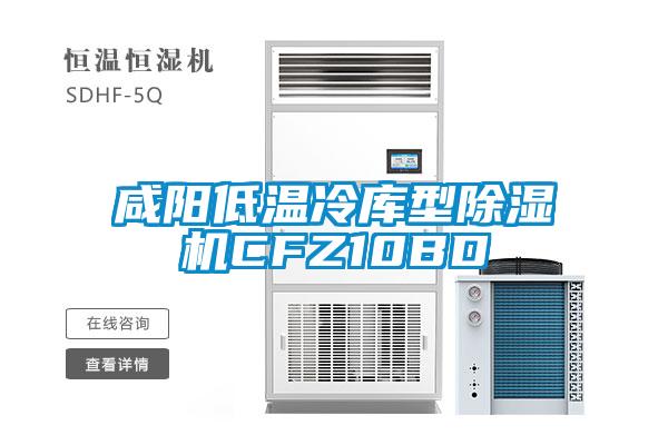 咸阳低温冷库型除湿机CFZ10BD