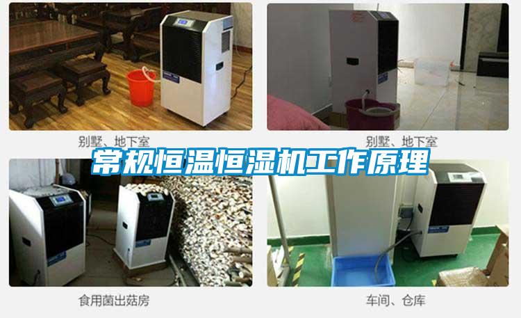 常规恒温恒湿机工作原理