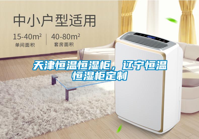 天津恒温恒湿柜，辽宁恒温恒湿柜定制