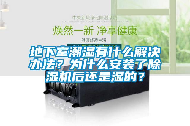 地下室潮湿有什么解决办法？为什么安装了除湿机后还是湿的？