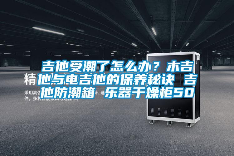 吉他受潮了怎么办？木吉他与电吉他的保养秘诀 吉他防潮箱 乐器干燥柜50