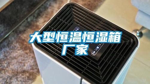 大型恒温恒湿箱厂家