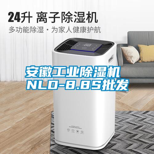 安徽工业除湿机 NLD-8.8S批发