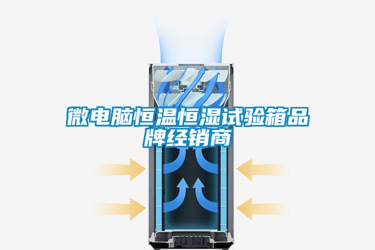 微电脑恒温恒湿试验箱品牌经销商