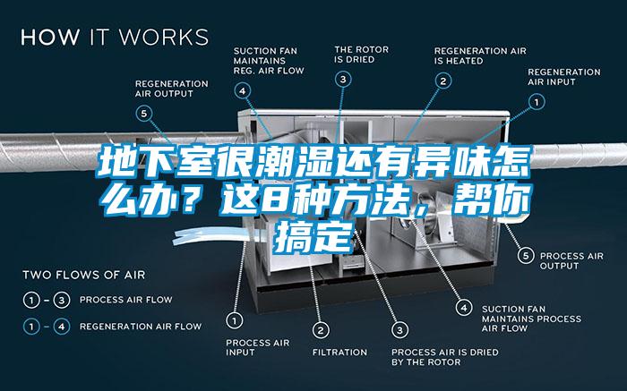 地下室很潮湿还有异味怎么办？这8种方法，帮你搞定