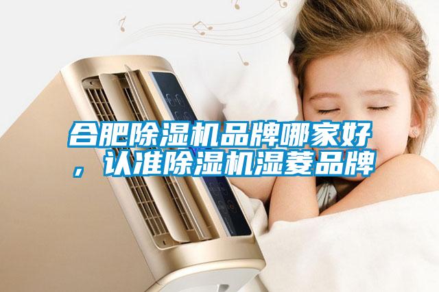 合肥除湿机品牌哪家好，认准除湿机湿菱品牌