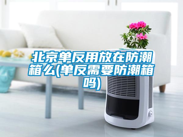 北京单反用放在防潮箱么(单反需要防潮箱吗)