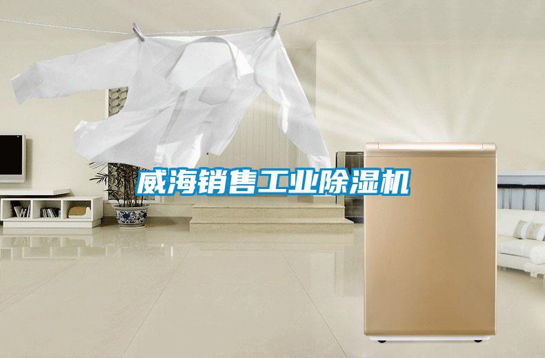 威海销售工业除湿机
