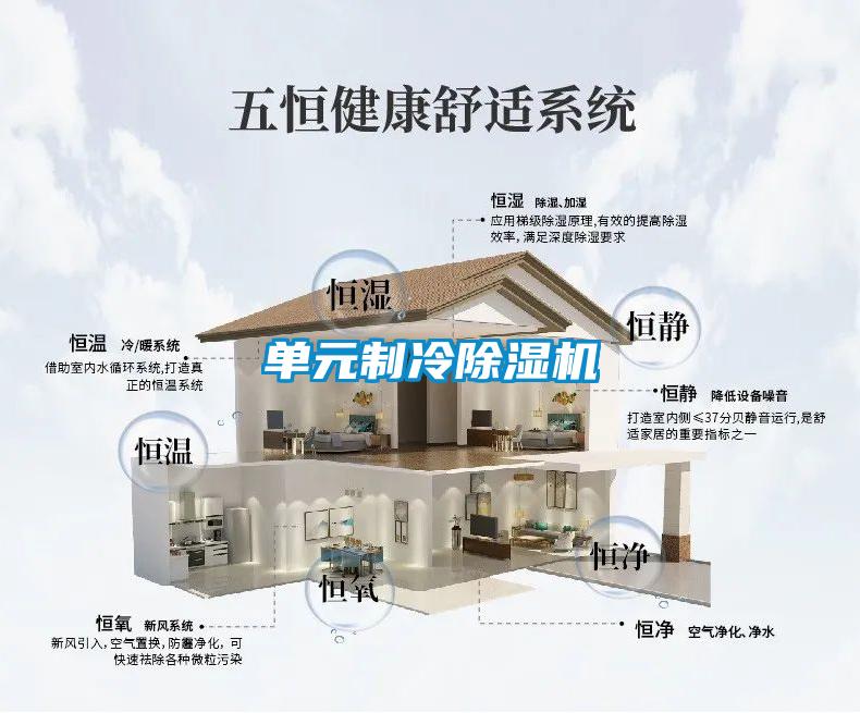 单元制冷除湿机