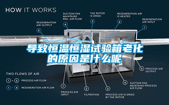 导致恒温恒湿试验箱老化的原因是什么呢