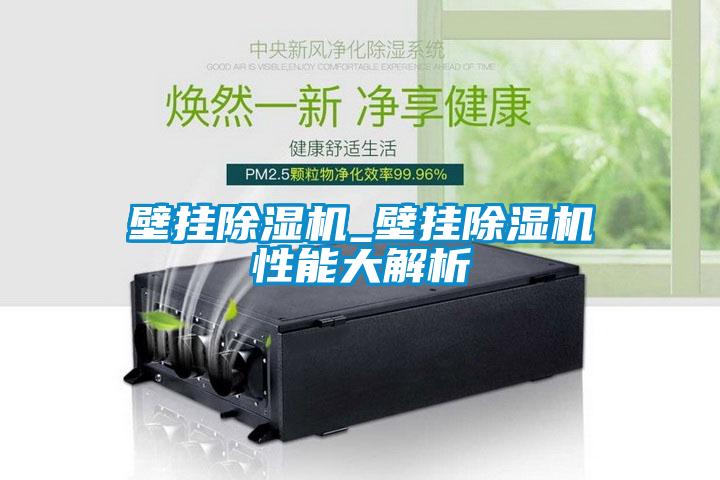 壁挂除湿机_壁挂除湿机性能大解析