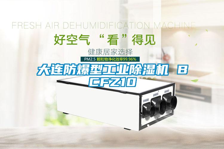 大连防爆型工业除湿机 BCFZ10