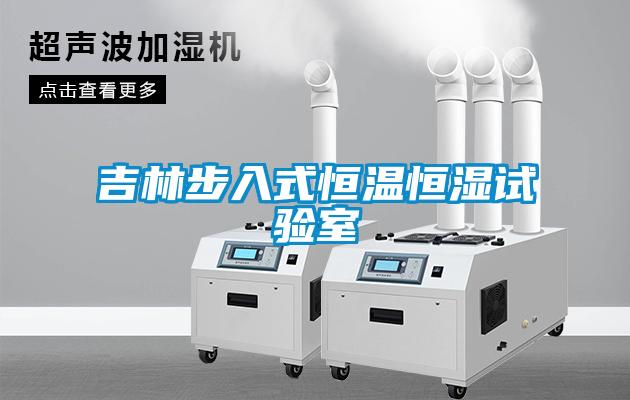 吉林步入式恒温恒湿试验室